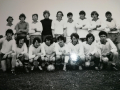 DEC team that defeated CIE in June 1972: Back: Austin Molloy, Benny Smith, Donal O'Sullivan, Declan O'Connor, Henry Greally, Peter Hall, Henry Joyce, Arthur Connern, John Roughan. Front: Brendan Collins, Kevin Barry, Cornelius Corcoran, Tom Corcoran, Noel Donoghue, Albert Hynes, John Joe Keane, Gerry Holland